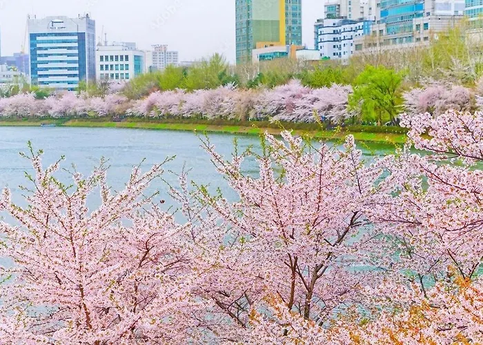 Apartment 307 Seoul